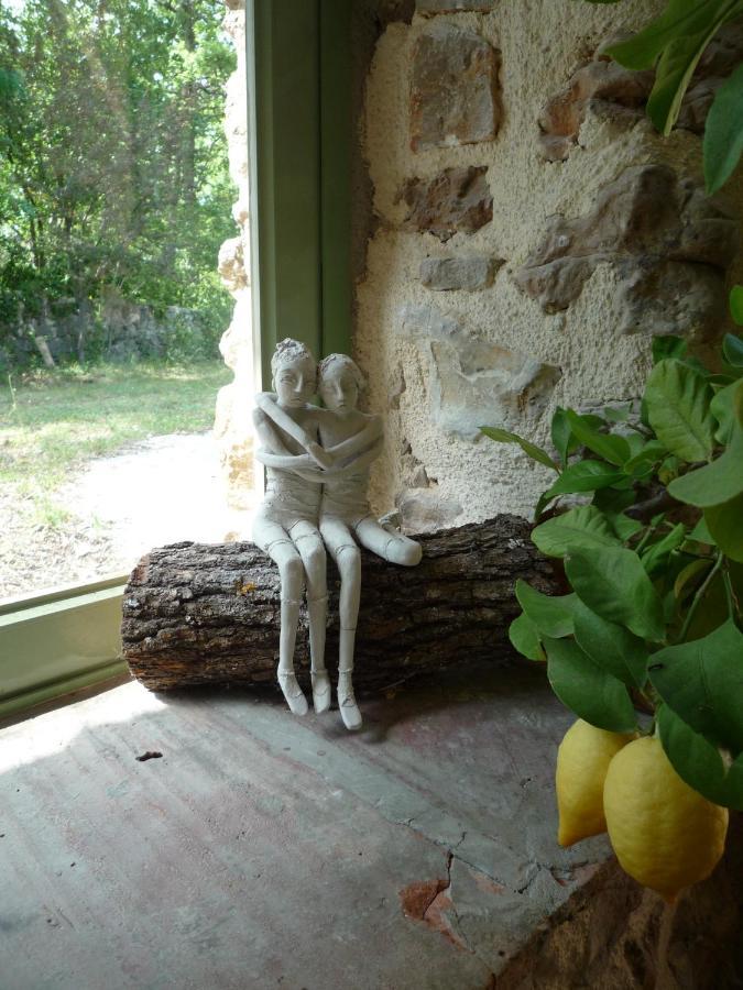 La Rose Des Vents Bed & Breakfast Montauroux Luaran gambar
