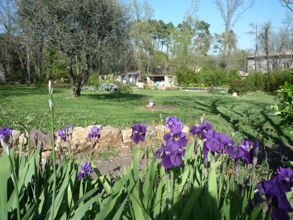 La Rose Des Vents Bed & Breakfast Montauroux Luaran gambar