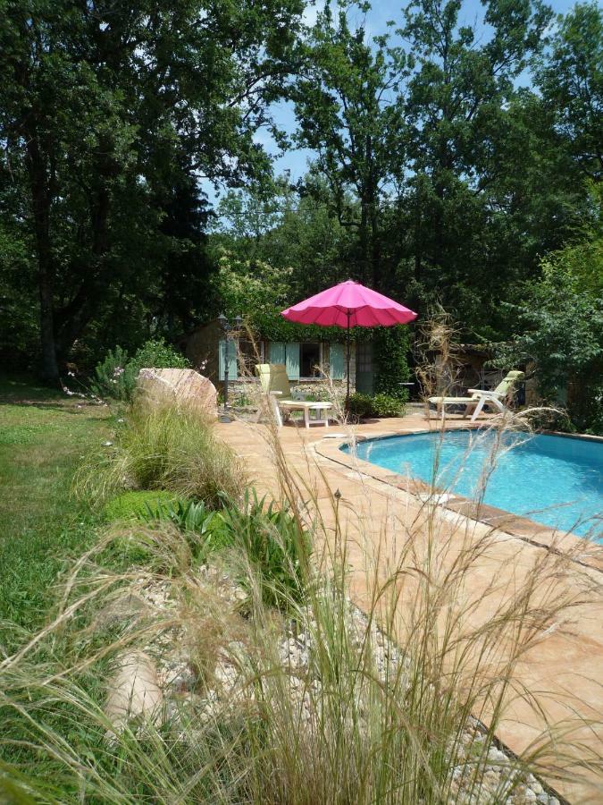 La Rose Des Vents Bed & Breakfast Montauroux Luaran gambar